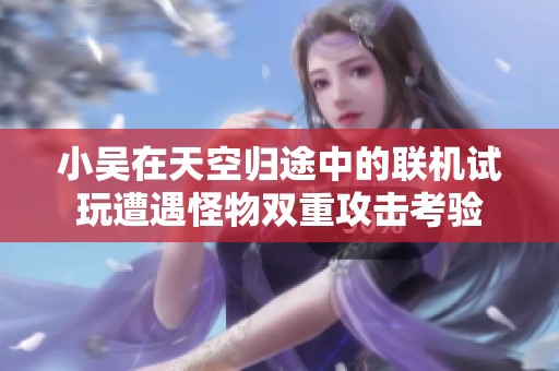 小吴在天空归途中的联机试玩遭遇怪物双重攻击考验