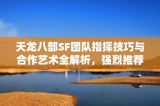 天龙八部SF团队指挥技巧与合作艺术全解析，强烈推荐！