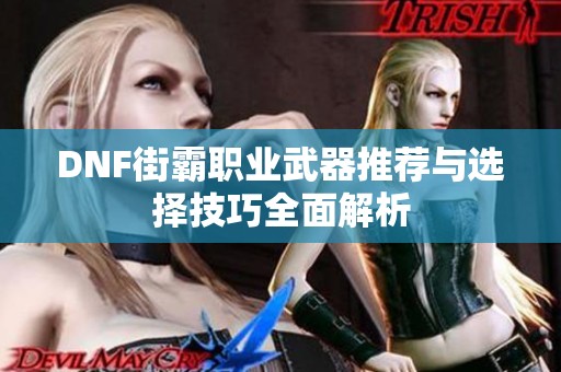 DNF街霸职业武器推荐与选择技巧全面解析