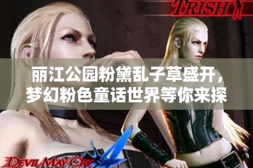 丽江公园粉黛乱子草盛开，梦幻粉色童话世界等你来探索