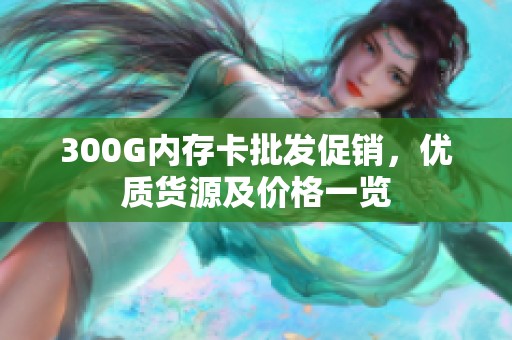 300G内存卡批发促销，优质货源及价格一览
