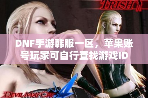 DNF手游韩服一区，苹果账号玩家可自行查找游戏ID