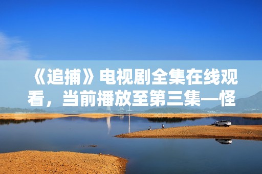 《追捕》电视剧全集在线观看，当前播放至第三集—怪兽影视剧推荐