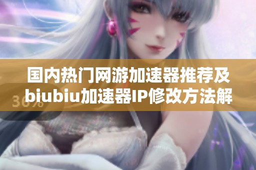国内热门网游加速器推荐及biubiu加速器IP修改方法解析