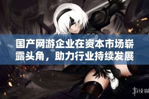 国产网游企业在资本市场崭露头角，助力行业持续发展