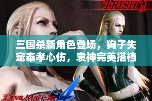 三国杀新角色登场，狗子失宠奉孝心伤，袁神完美搭档震撼上线！