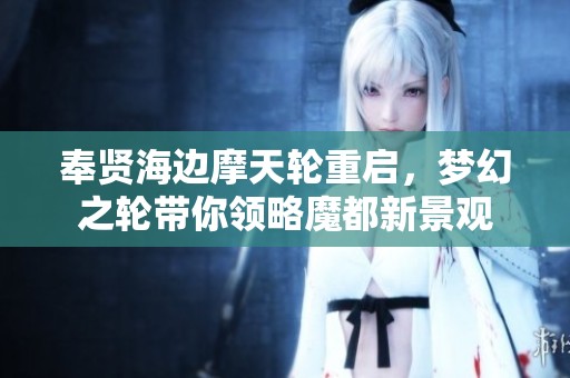 奉贤海边摩天轮重启，梦幻之轮带你领略魔都新景观