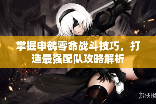 掌握申鹤零命战斗技巧，打造最强配队攻略解析