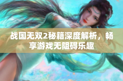 战国无双2秘籍深度解析，畅享游戏无阻碍乐趣