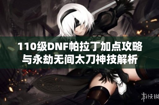 110级DNF帕拉丁加点攻略与永劫无间太刀神技解析