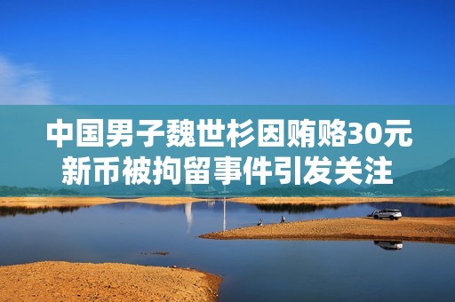 中国男子魏世杉因贿赂30元新币被拘留事件引发关注
