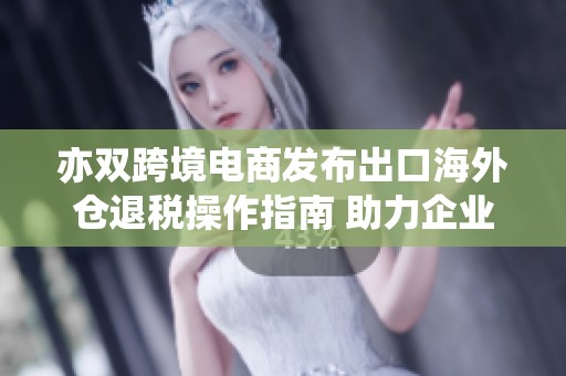 亦双跨境电商发布出口海外仓退税操作指南 助力企业出口发展