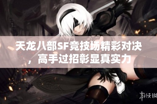 天龙八部SF竞技场精彩对决，高手过招彰显真实力