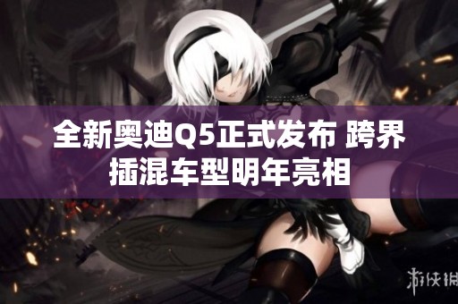 全新奥迪Q5正式发布 跨界插混车型明年亮相