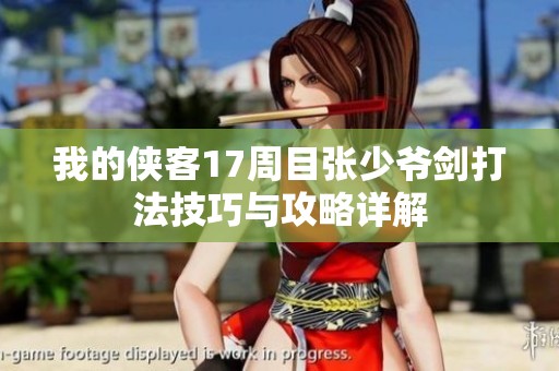 我的侠客17周目张少爷剑打法技巧与攻略详解