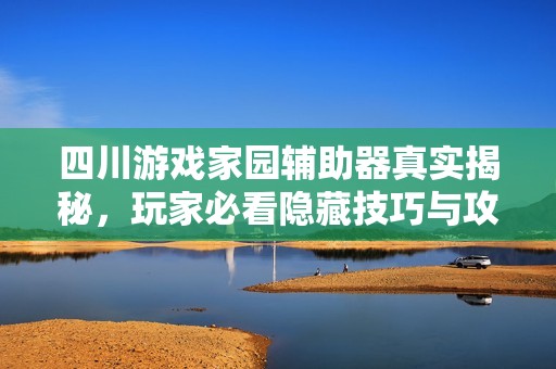 四川游戏家园辅助器真实揭秘，玩家必看隐藏技巧与攻略