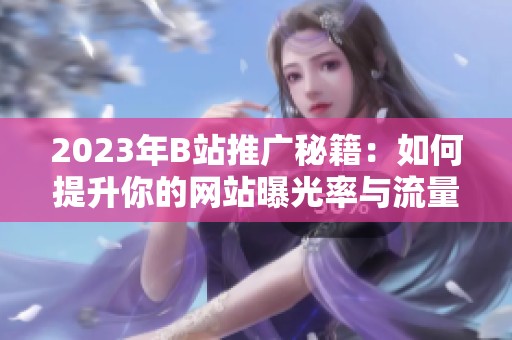2023年B站推广秘籍：如何提升你的网站曝光率与流量