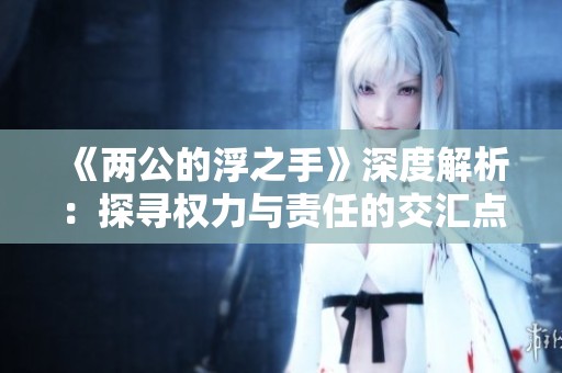 《两公的浮之手》深度解析：探寻权力与责任的交汇点
