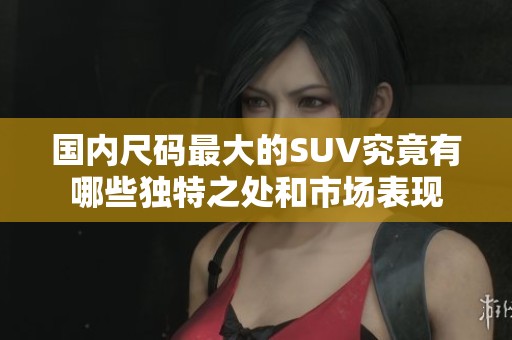 国内尺码最大的SUV究竟有哪些独特之处和市场表现