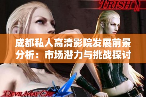 成都私人高清影院发展前景分析：市场潜力与挑战探讨
