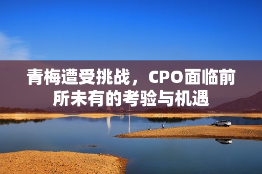 青梅遭受挑战，CPO面临前所未有的考验与机遇