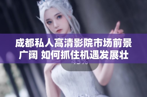 成都私人高清影院市场前景广阔 如何抓住机遇发展壮大