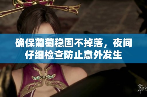确保葡萄稳固不掉落，夜间仔细检查防止意外发生