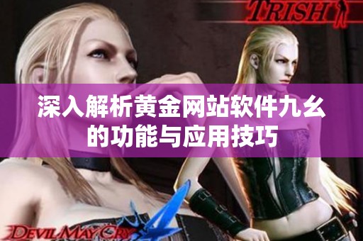 深入解析黄金网站软件九幺的功能与应用技巧