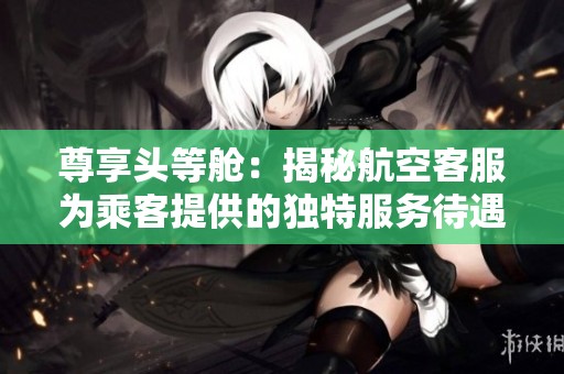 尊享头等舱：揭秘航空客服为乘客提供的独特服务待遇