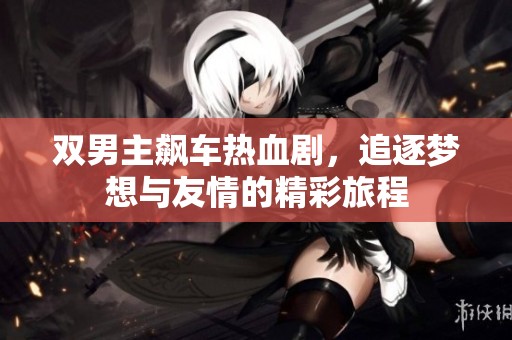 双男主飙车热血剧，追逐梦想与友情的精彩旅程