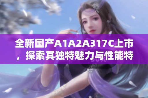 全新国产A1A2A317C上市，探索其独特魅力与性能特点