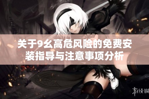 关于9幺高危风险的免费安装指导与注意事项分析