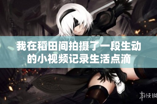 我在稻田间拍摄了一段生动的小视频记录生活点滴