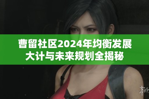 曹留社区2024年均衡发展大计与未来规划全揭秘