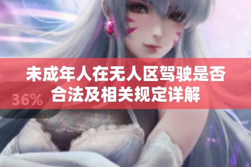 未成年人在无人区驾驶是否合法及相关规定详解