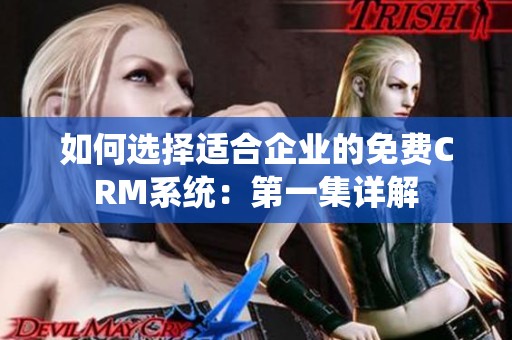 如何选择适合企业的免费CRM系统：第一集详解