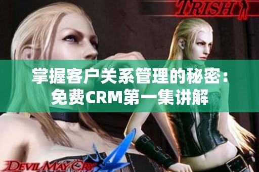 掌握客户关系管理的秘密：免费CRM第一集讲解