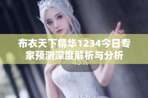 布衣天下精华1234今日专家预测深度解析与分析