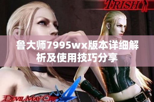 鲁大师7995wx版本详细解析及使用技巧分享