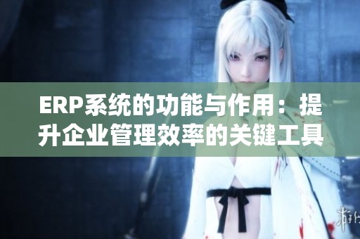 ERP系统的功能与作用：提升企业管理效率的关键工具
