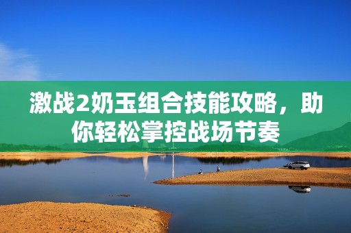 激战2奶玉组合技能攻略，助你轻松掌控战场节奏