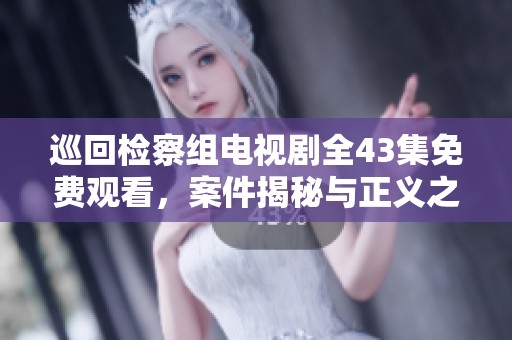 巡回检察组电视剧全43集免费观看，案件揭秘与正义之路