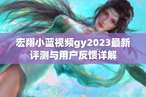 宏翔小蓝视频gy2023最新评测与用户反馈详解