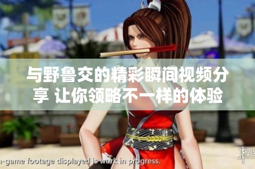 与野鲁交的精彩瞬间视频分享 让你领略不一样的体验