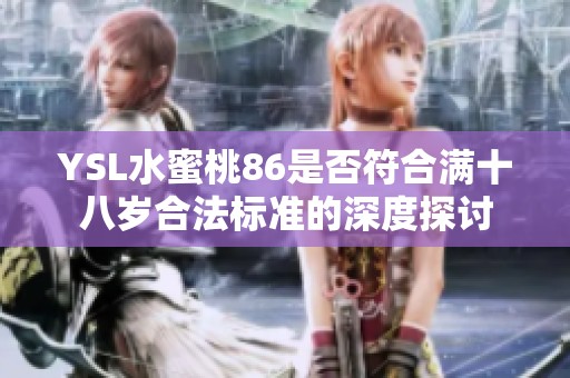 YSL水蜜桃86是否符合满十八岁合法标准的深度探讨