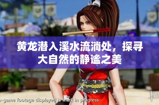 黄龙潜入溪水流淌处，探寻大自然的静谧之美