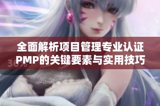 全面解析项目管理专业认证PMP的关键要素与实用技巧