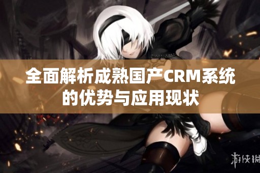 全面解析成熟国产CRM系统的优势与应用现状