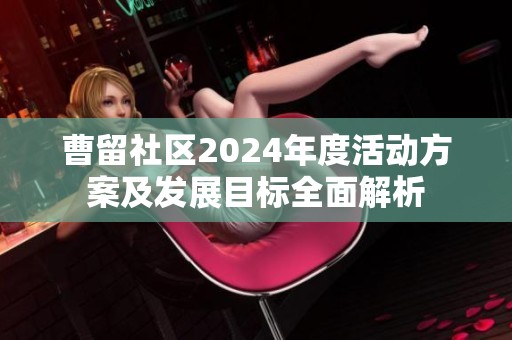 曹留社区2024年度活动方案及发展目标全面解析