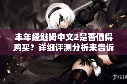 丰年经继拇中文2是否值得购买？详细评测分析来告诉你